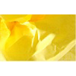 CANSON TISSUE PAPER ROLL - YELLOW