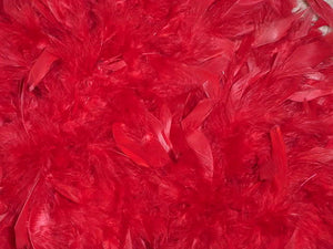 Red Feathers Pack Of 200