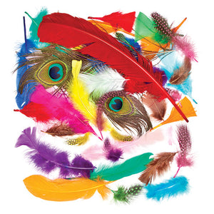 Feathers Value Classpack (Pack of 600)