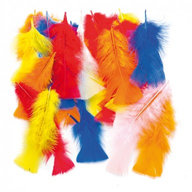 Long Coloured Feathers (Pack of 150)