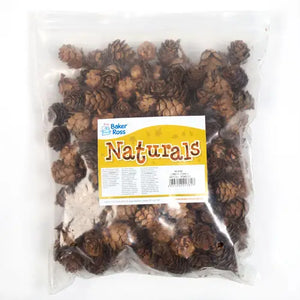 Larch Cones (Bag of 250g)