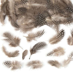 Natural Feathers (Pack of 120)