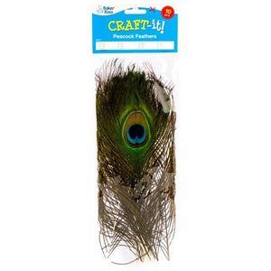 Peacock Craft Feathers (Pack of 10)