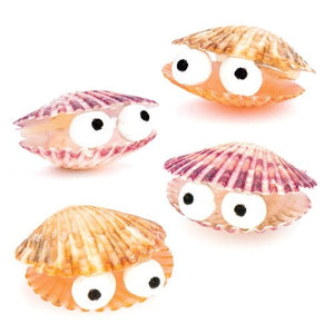 Mini Scallop Shells