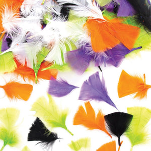 Halloween Craft Feathers (Pack of 120)