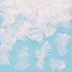 White Feathers Pack Of 200
