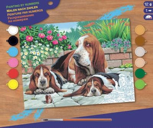 PbN Lrg - Basset Hounds