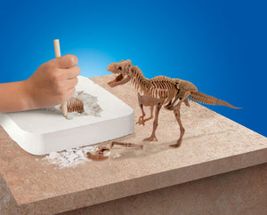 Dinosaur Excavation Kit Skeleton 3D Puzzle -T-Rex